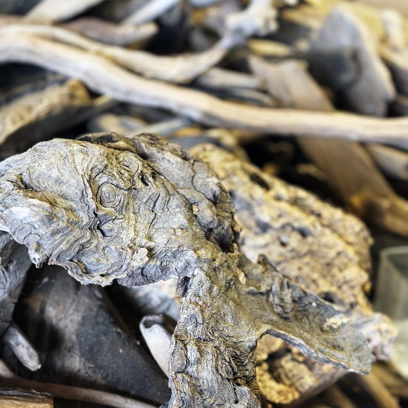 Driftwood - drewno wyrzucone przez morze