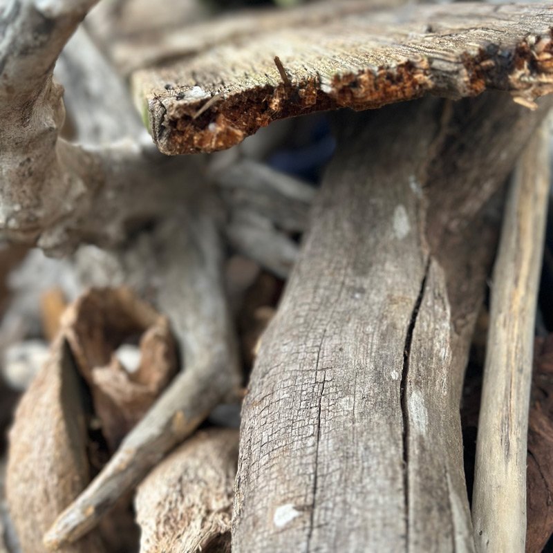Driftwood - drewno wyrzucone przez morze